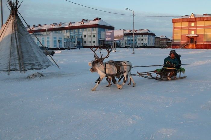 Заполярный